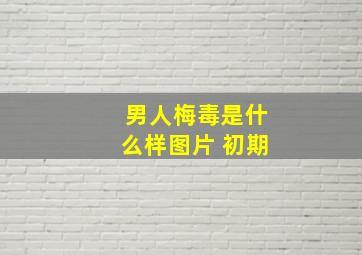 男人梅毒是什么样图片 初期